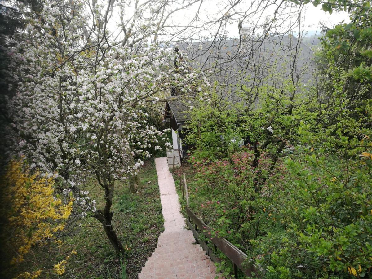 Holiday House Cervena Veza Piest'any Dış mekan fotoğraf